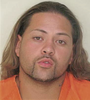 Justin Mitchell - Hillsborough County, FL 