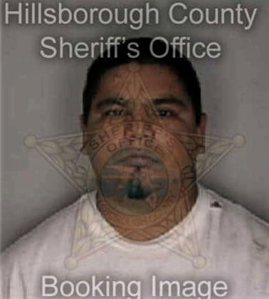 Christian Robinson - Hillsborough County, FL 