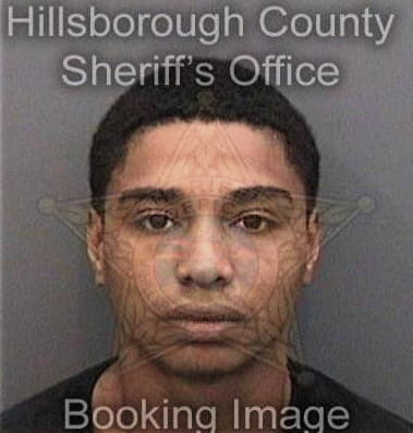 Luke Smith, - Hillsborough County, FL 