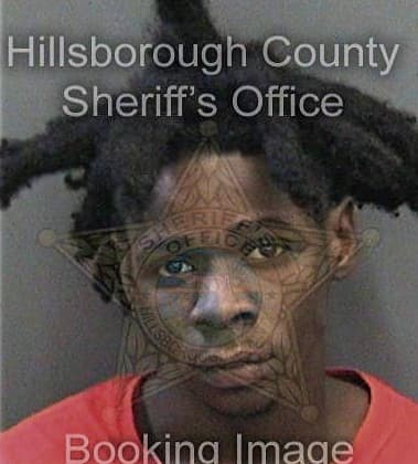 Charles Williams - Hillsborough County, FL 
