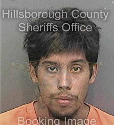 Aaron Lopata, - Hillsborough County, FL 