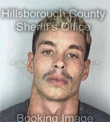 Shawn Nash, - Hillsborough County, FL 