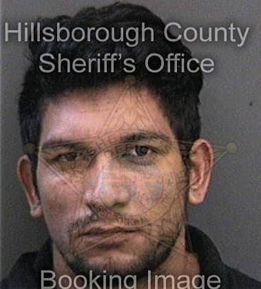 Jose Perezfonseca, - Hillsborough County, FL 