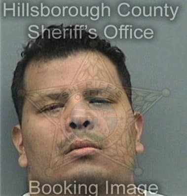 Jose Sanchezechevarria, - Hillsborough County, FL 