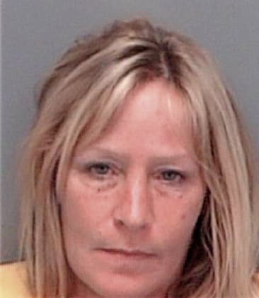 Ann Simmons - Pinellas County, FL 