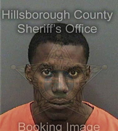 Christopher Taylor, - Hillsborough County, FL 