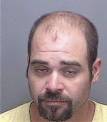 David Watson, - Pinellas County, FL 