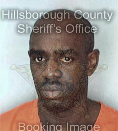 Laregos Williams, - Hillsborough County, FL 