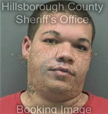 Leopoldo Ballesteros, - Hillsborough County, FL 