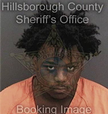 Trevon Burnette, - Hillsborough County, FL 