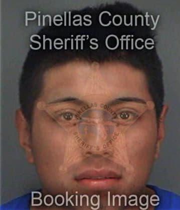 Steven Cintron, - Pinellas County, FL 