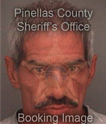 Carlos Deleon, - Pinellas County, FL 