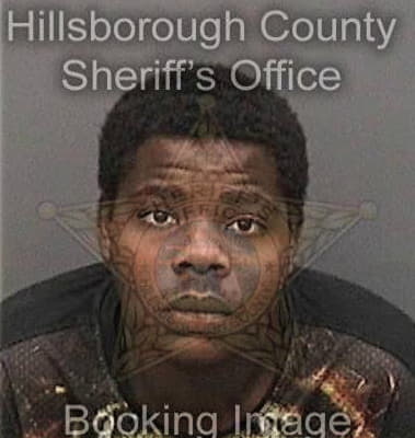 Antonio King, - Hillsborough County, FL 