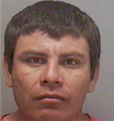 Mario Perez, - Lee County, FL 