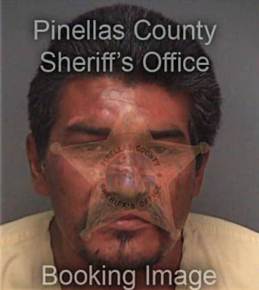 Bertin Serrano, - Pinellas County, FL 