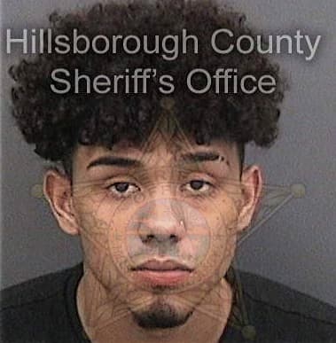 Joshua Sharrock, - Hillsborough County, FL 