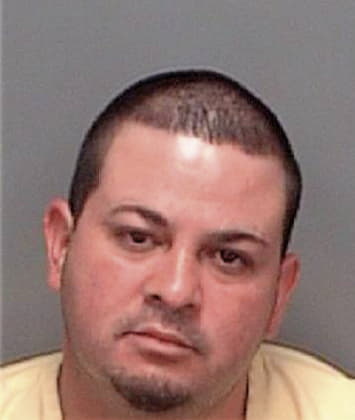 Nicholas Simons - Pinellas County, FL 