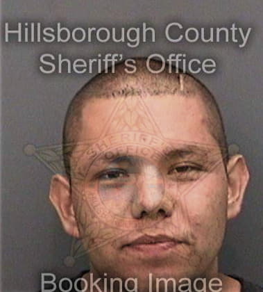 Nawaf Alsheeha, - Hillsborough County, FL 