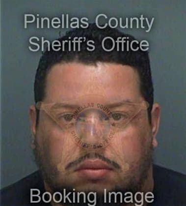 Daniel Archuleta, - Pinellas County, FL 