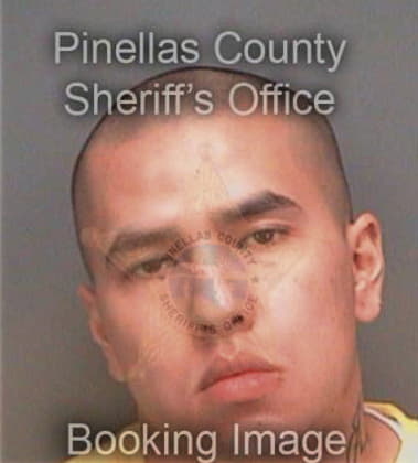 Christopher Hamilton, - Pinellas County, FL 