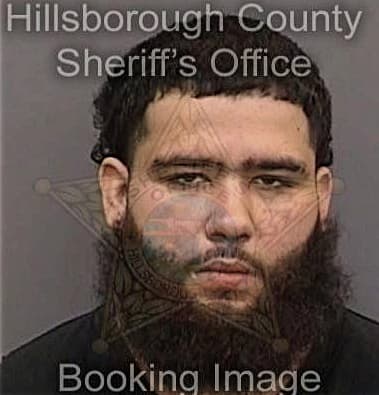 Christopher Liranzo, - Hillsborough County, FL 