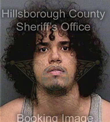 David Martinez, - Hillsborough County, FL 