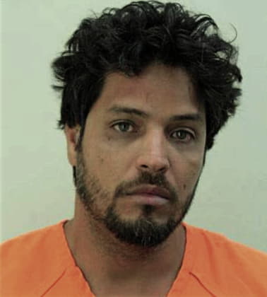 Edgar Mendozaflores - Hillsborough County, FL 
