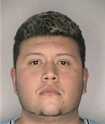Joshua Milton - Hillsborough County, FL 