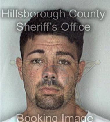 Daniel Pallick, - Hillsborough County, FL 