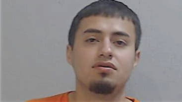 Luis Perez, - Hidalgo County, TX 