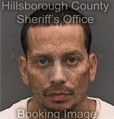 Scott Smith, - Hillsborough County, FL 