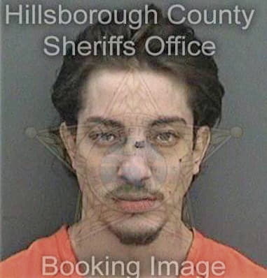 Raymond Toledoencarnacion, - Hillsborough County, FL 