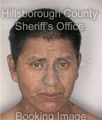 Albert Wildt - Hillsborough County, FL 