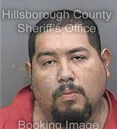 Joe Deese, - Hillsborough County, FL 