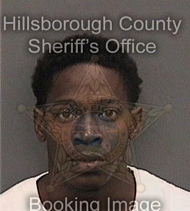 Raaheim Foster, - Hillsborough County, FL 