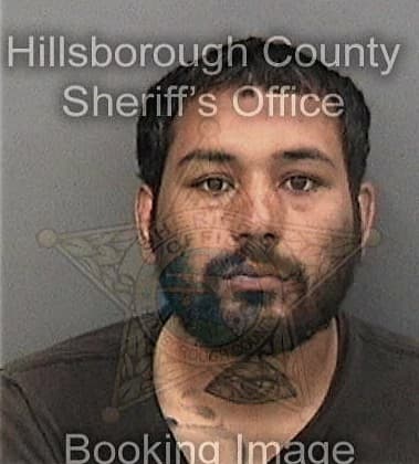 Robert Maine, - Hillsborough County, FL 