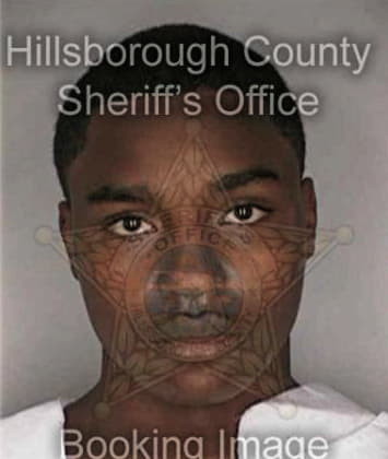 Nathaniel Mitchell - Hillsborough County, FL 