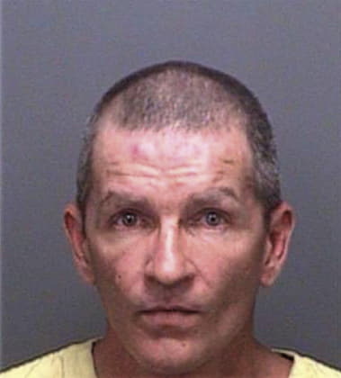 Richard Schweinzger, - Pinellas County, FL 