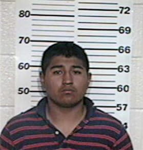 Daniel Garcia, - Hidalgo County, TX 