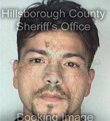 Stalin Hernandez - Hillsborough County, FL 