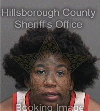 Breyahn Johnson, - Hillsborough County, FL 