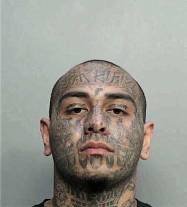 Darwin Medina, - Dade County, FL 