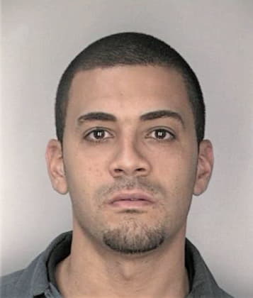 Anibal Soto, - Hillsborough County, FL 