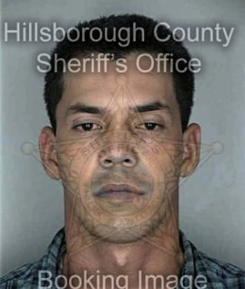 David Hayes, - Hillsborough County, FL 