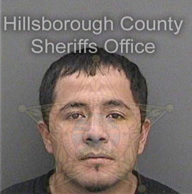 Julian Hernandezclara - Hillsborough County, FL 