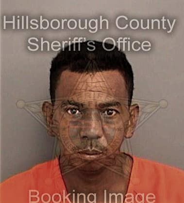 David Meza - Hillsborough County, FL 