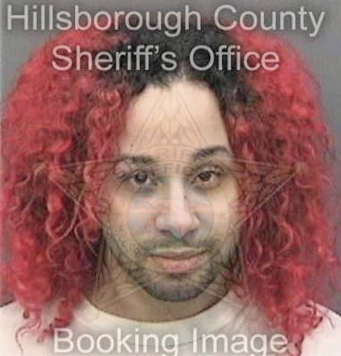 Dustin Milligin - Hillsborough County, FL 