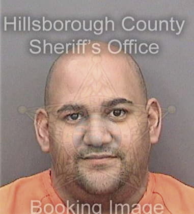 Marc Zanyk, - Hillsborough County, FL 