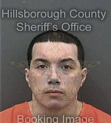 Bengie Alicea-Colon, - Hillsborough County, FL 