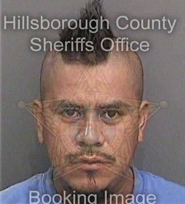 Alfredo Coronado, - Hillsborough County, FL 